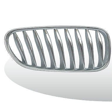 BM1200275 Grille Main