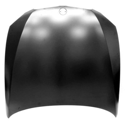 BM1230140 Body Panel Hood