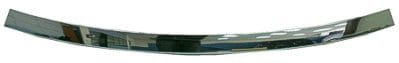 GM1144103C Rear Bumper Cover Molding