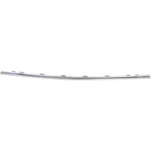 GM1144113C Rear Bumper Cover Molding