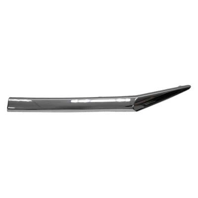 HO1212113C Driver Side Front Grille Molding