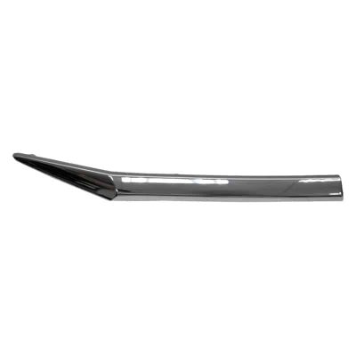 HO1213113C Passenger Side Front Grille Molding