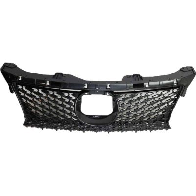 LX1200174 Grille Main