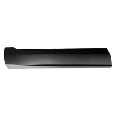 FO1304110 Driver Side Door Molding