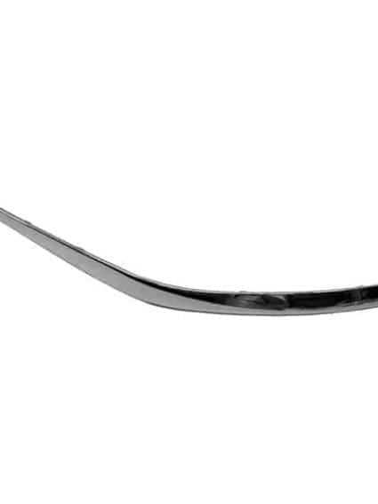 NI1046100 Driver Side Front Bumper Cover Molding