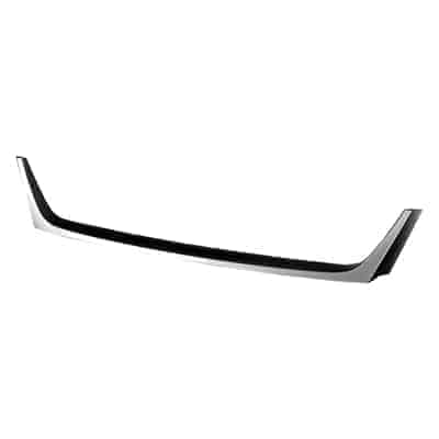 TO1044113C Grille Bumper Cover Molding