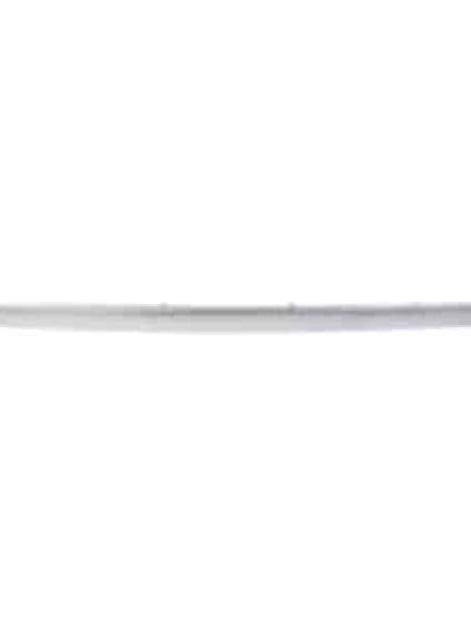 GM1146108 Rear Bumper Cover Molding