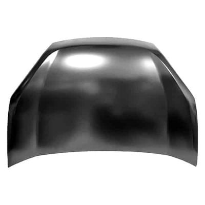 CH1230313 Hood
