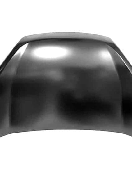 CH1230313 Hood