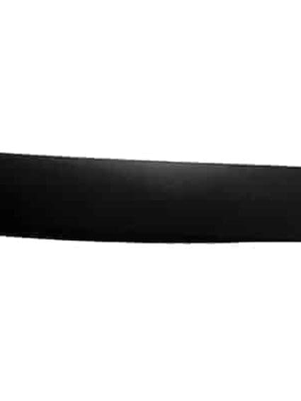 CH1505110 Body Panel Door Molding Passenger Side