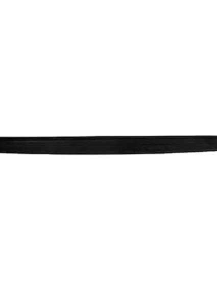 FO1904109 Tailgate Molding