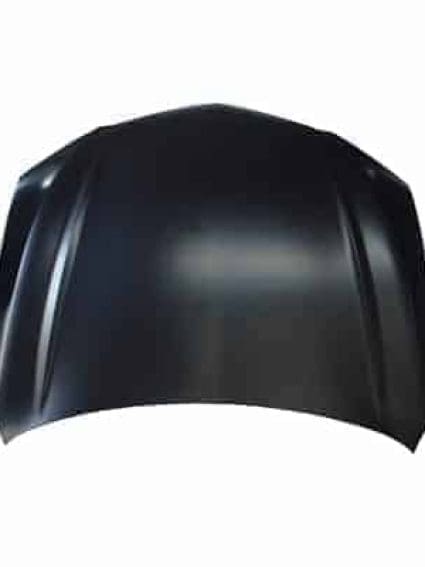 AC1230128C Hood Panel