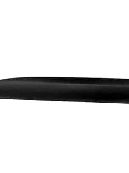 CH1304110 Body Panel Door Molding Driver Side