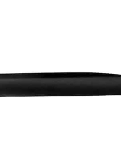 CH1305110 Body Panel Door Molding Passenger Side