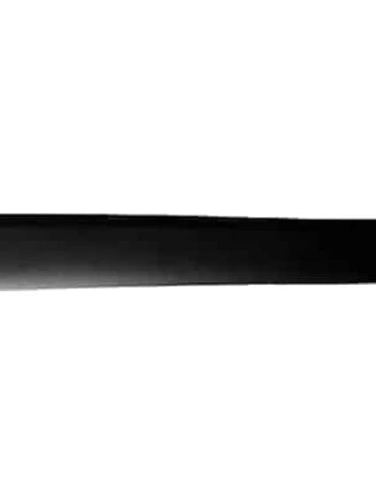 CH1305111 Body Panel Door Molding Passenger Side