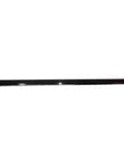 CH1305103 Body Panel Door Molding Passenger Side