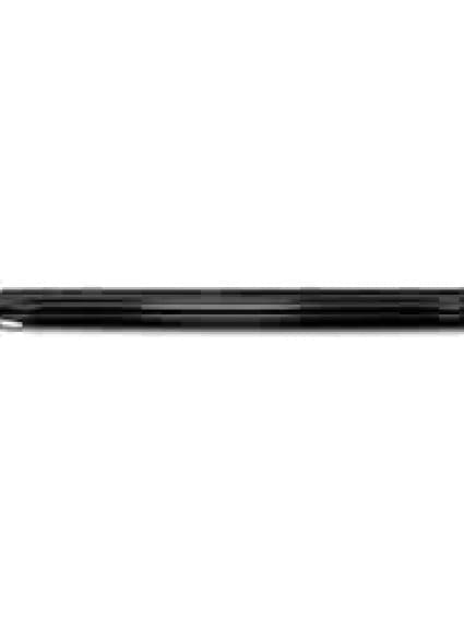 CH1504108 Body Panel Door Molding Driver Side