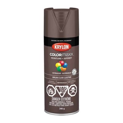 Krylon Paint Colormaster Paint & Primer DUP45527