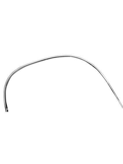 GLAM1319 Fender Molding Driver Side