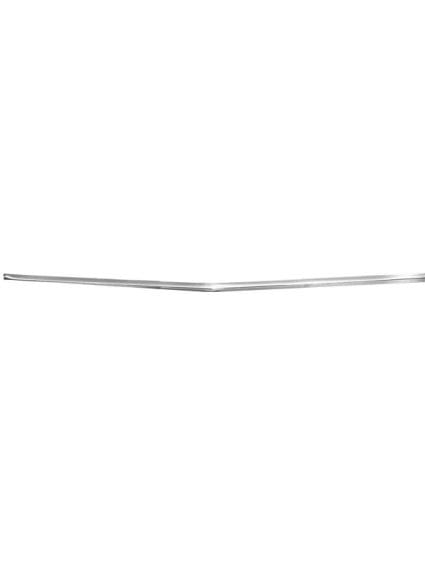 GLAM3641SS Hood Molding
