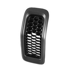 CH1200374C Grille Main