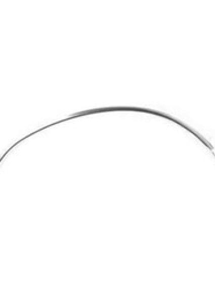 FO1290106 Driver Side Fender Molding
