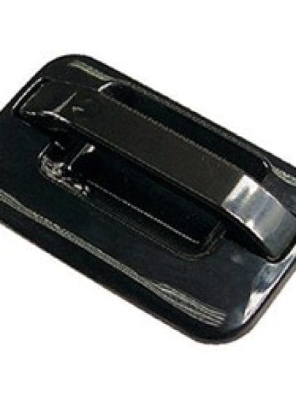 FO1521116 Exterior Door Handle