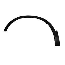 HO1290108 Driver Side Fender Molding