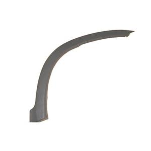 HO1291103 Passenger Side Fender Molding