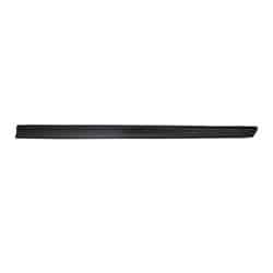 NI1305101 Passenger Side Door Molding