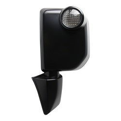 TO1320289 Driver Side Power Mirror