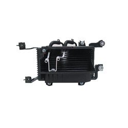 TO4050110 Automatic Transmission Cooler Assembly