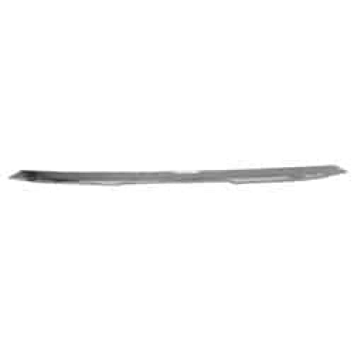 NI1044112C Front Bumper Cover Molding