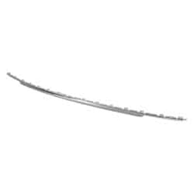 VW1144108C Rear Bumper Cover Molding
