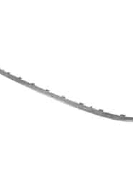 VW1144110C Rear Bumper Cover Molding