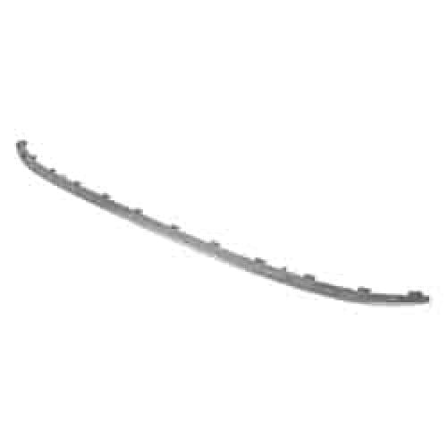 VW1144110C Rear Bumper Cover Molding