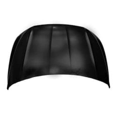 VW1230150C Hood Panel