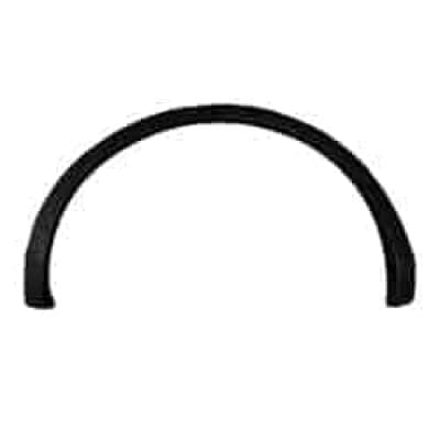 VW1791102 Passenger Side Quarter Molding