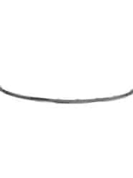 FO1044119 Front Bumper Grille Molding