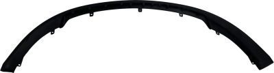 FO1095231C Front Bumper Valance