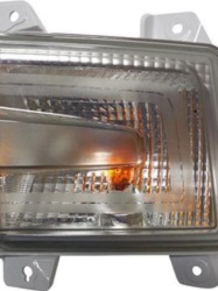 HO2531130C Passenger Side Signal Lamp Assembly
