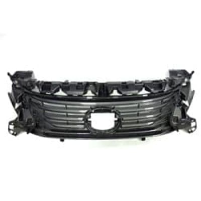 LX1200179C Grille Main