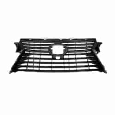LX1200181 Grille Main