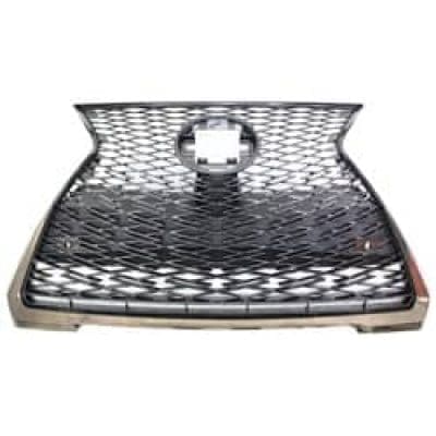 LX1200206 Grille Main