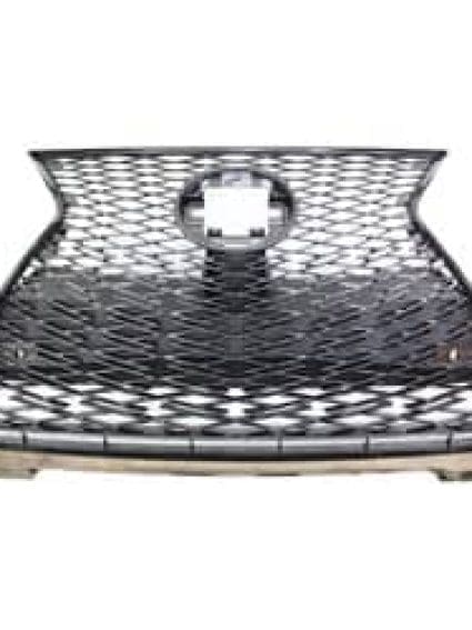LX1200206 Grille Main