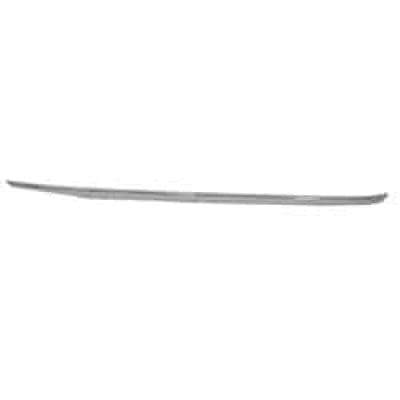 LX1217101C Grille Molding