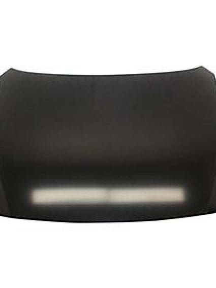 MA1230177 Hood