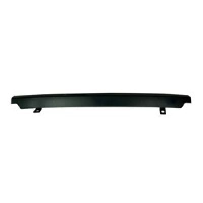 CH1216102 Grille Molding