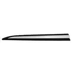MI1304100 Driver Side Door Molding
