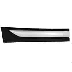 MI1505100 Passenger Side Door Molding